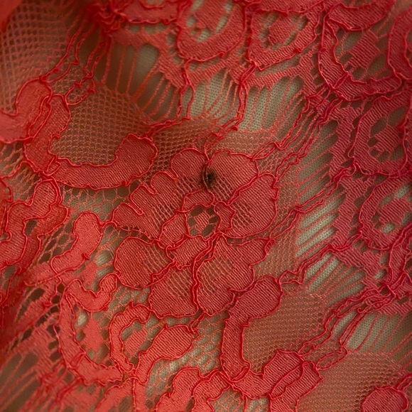 Betsy & Adam Lace Mesh Gown Red/Nude 16 - Picture 7 of 7